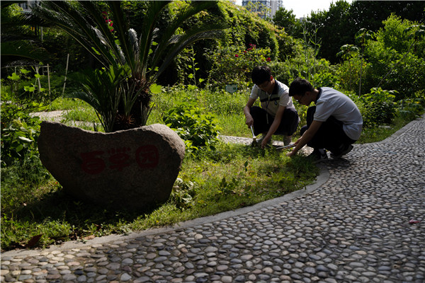 1643076994394387.jpg 中医药文化进校园之百草园中药种植社活动.jpg